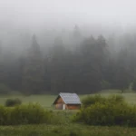 Solar Panel FAQs: Insights from Solaris Experts